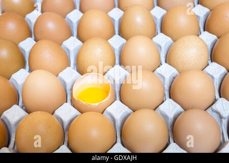 Schale Gehäuse Ei im Paket, Eigelb, Eiweiß, Ei-Gruppe Stockfoto