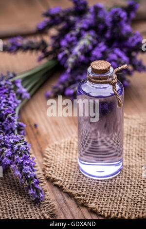 Ätherisches Öl und frische Lavendelblüten Stockfoto