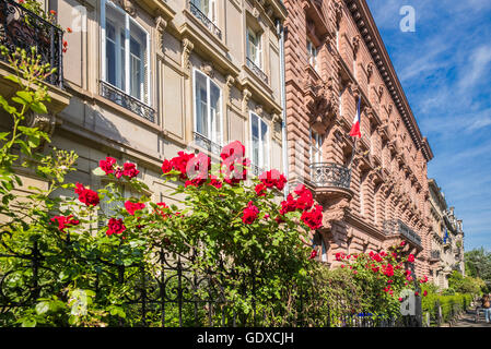 Blühende rote Rosen Blumen und Gründerzeitlichen Wohngebäude, Straßburg, Elsass, Frankreich, Europa Stockfoto