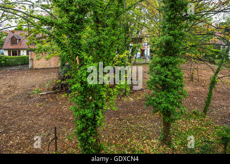 Städtischen Grundstück, Straßburg, Elsass, Frankreich, Europa Stockfoto