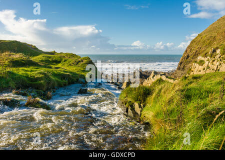 Der Wasserfall auf der Klippe an Welcombe Mündung, Cornwall, England. Stockfoto