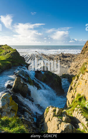 Der Wasserfall auf der Klippe an Welcombe Mündung, Cornwall, England. Stockfoto