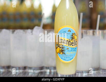 Die Getränke werden bei der offiziellen Vorstellung des Limonbello von Nancy Dell'Olio in The Club at the Ivy, London gegossen. Stockfoto