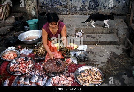 Fischverkäufer in Yangon Stockfoto