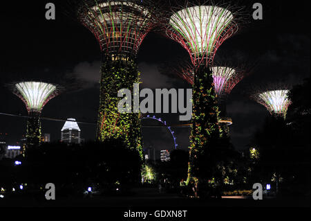 Gardens by the Bay Singapore Stockfoto