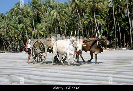 MYANMAR. Rakhine-Staat. Thandwe. 2008. Ngapali Beach Stockfoto