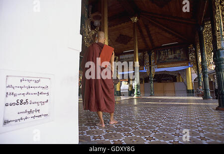 MYANMAR. Yangon. 2008. Mönch an der Shwedagon-Pagode Stockfoto