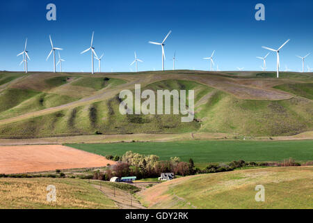 Geographie/Reisen, USA, Washington, Landschaften, Windkraftanlagen in der Palouse region, Additional-Rights - Clearance-Info - Not-Available Stockfoto