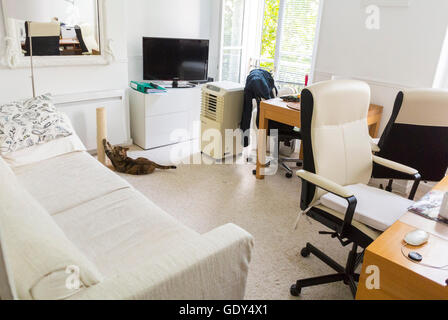 Paris, Frankreich, modernes urbanes Apartment, Innenräume in weißem zeitgenössischem Design, Ikea-Stuhl, Möbel, Home Office, Wohnzimmer-Couch aus den 1990er Jahren, pariser Salon, flaches pariser Interieur Stockfoto