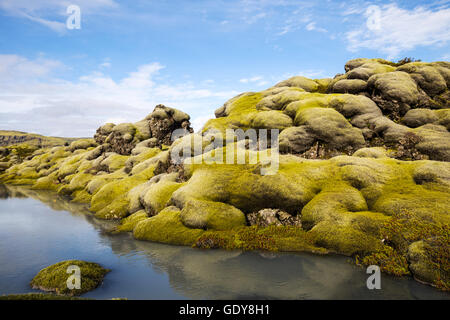 Moos gewachsen Lavafeld und kleinen Bach im Süden Islands Stockfoto