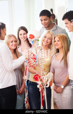 Qualifizierte Lehrer unterrichten Anatomie für junge Studenten. Stockfoto
