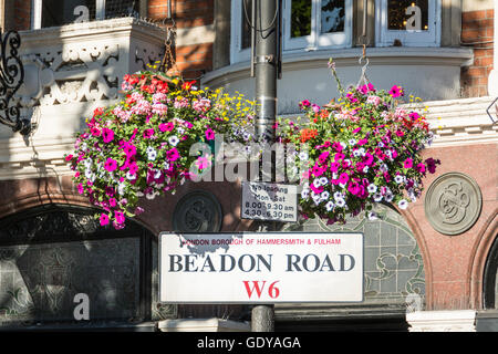 Eine bunte hängenden Korb und Straße unterzeichnen in Beadon Road, Hammersmith, London, W6, UK Stockfoto