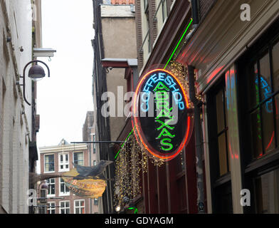 AMSTERDAM, Niederlande - 15. November 2015: Leuchtreklame von einem Café in einer Amsterdamer Gasse Stockfoto