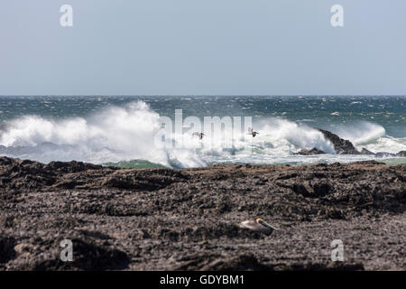 Flut im Meer, Tamarindo Stockfoto