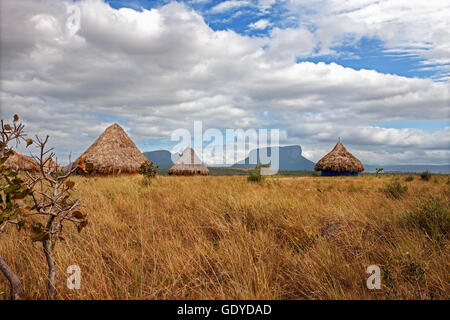 Grashütten in einem Dorf, Canaima-Nationalpark, Venezuela Stockfoto