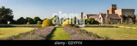 Rockingham Castle, Corby, Northamptonshire, Großbritannien. Lavendel Hecken in der formellen 17c 'Garten' mit der 400 Jahre alten Eibe 'Elephant Hedge' hinter Stockfoto