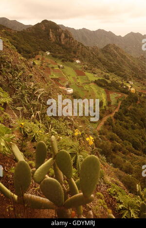 Die Montanas de Anaga im Nordosten der Insel Teneriffa auf die Inseln der Kanaren Spanien im Atlantik. Stockfoto