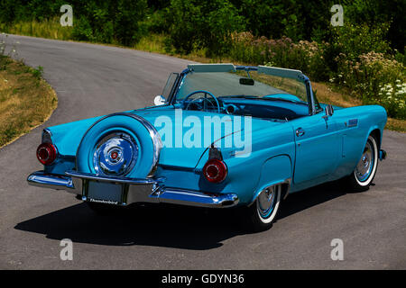 1956 Ford Thunderbird Rückansicht. Stockfoto