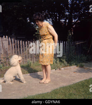 1970er Jahre, ältere Dame, die Ausbildung ihrer kleinen Creme beschichtete Pudelhund zu sitzen. Stockfoto