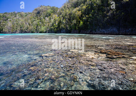 Ein flach und artenreichen Korallenriffe Fransen remote Kalksteininseln in einer wunderschönen, tropischen Lagune in Raja Ampat, Indonesien. Stockfoto