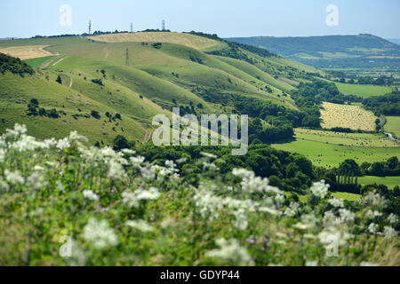 South Downs Nationalpark von Devil es Dyke, Brighton Stockfoto