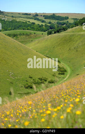 Devil es Dyke, in der Nähe von Brighton, Sussex, UK Stockfoto