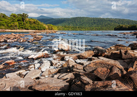 Wald am Fluss und die Berge im Hintergrund, Carrao Fluss, Canaima-Nationalpark, Venezuela Stockfoto