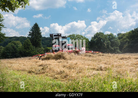 Traktor mit Heuwender drehen Heu auf der Wiese Stockfoto