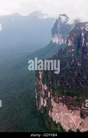 Luftaufnahme eines Flusses durch Wald, Canaima-Nationalpark, Venezuela Stockfoto