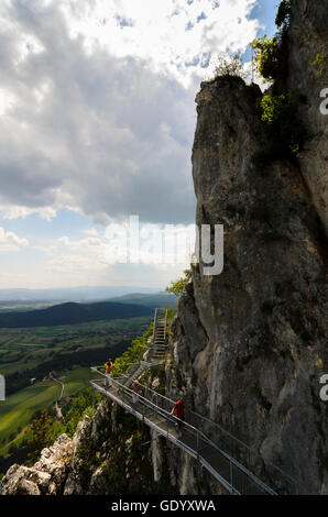 Naturpark Hohe Wand: "steinigen Weg" in der hohen Wand beim Kohlröserlhaus, Österreich, Niederösterreich, Niederösterreich, Wiener Alpen Stockfoto