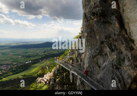 Naturpark Hohe Wand: "steinigen Weg" in der hohen Wand beim Kohlröserlhaus, Österreich, Niederösterreich, Niederösterreich, Wiener Alpen Stockfoto