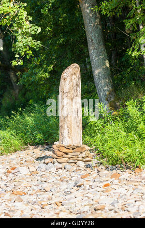 Alten geschälten Baum-Stämme auf Kopfsteinpflaster gelegt Stockfoto