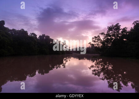 Reflexion der Wolken im Orinoco Delta, Venezuela, Orinoco Fluss, Stockfoto