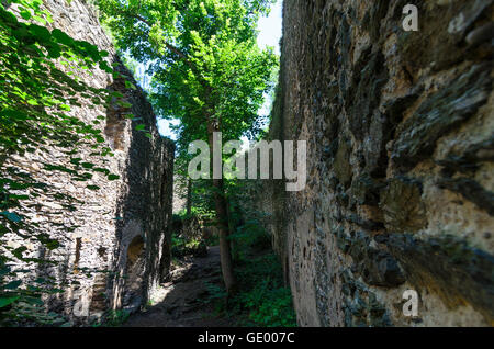 Nationalpark Thayatal-Thayatal: Neuhäusl Burg, Tschechische Republik, Südmähren, Jihomoravsky, Südmähren Stockfoto