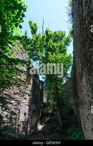 Nationalpark Thayatal-Thayatal: Neuhäusl Burg, Tschechische Republik, Südmähren, Jihomoravsky, Südmähren Stockfoto