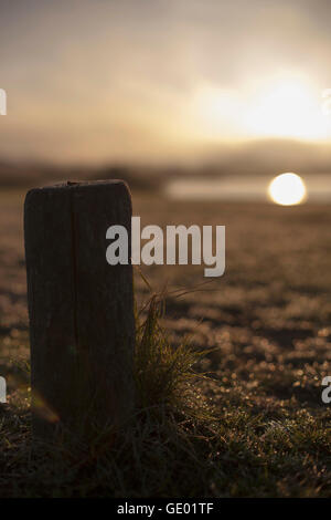 Tautropfen auf Rasen und Holzpfosten bei Sonnenaufgang, Renesse, Schouwen-Duiveland, Zeeland, Niederlande Stockfoto