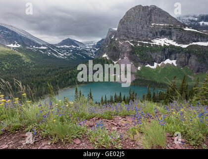 Die Sicht von Grinnell Lake vom wilden Blume bedeckt Trail oben. Stockfoto