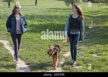 Teenager-Mädchen gehen mit ihrem Hund, Freiburg Im Breisgau, Baden-Württemberg, Deutschland Stockfoto