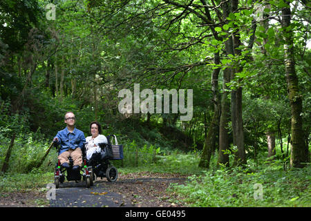 Rollstuhlfahrer, genießen ein Waldweg, Sussex Stockfoto