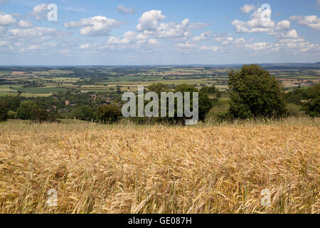 Blick über Gerstenfeld und Dorf von Ilmington mit Warwickshire Landschaft, Ilmington, Cotswolds, Warwickshire, England, UK Stockfoto