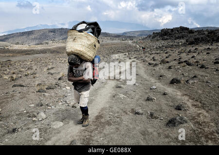 Porter, die zu Fuß über einen Wanderweg in alpine Wüste Zone gonna Lava Tower Camp, Mount Kilimanjaro National Park, Tansania Stockfoto