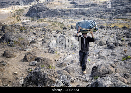 Porter mit einer Tasche auf den Kopf oben Moir Hut Camp, Mount Kilimanjaro National Park, Tansania Stockfoto