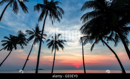 Silhouetten auf dem Hintergrund des blauen Himmels Palmen während der marine Sonnenuntergang. Stockfoto