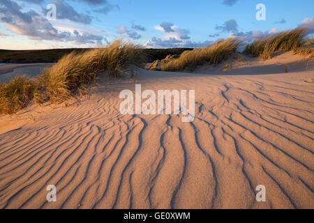 Gerippt, Sand und Dünen bei Sonnenuntergang, Crantock Beach, Crantock, in der Nähe von Newquay, Cornwall, England, Vereinigtes Königreich, Europa Stockfoto
