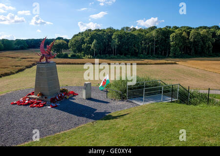 Dieses Weish Drachen-Denkmal mit Blick auf den Bereich, wo die 38. (Walisisch) Division Mametz Wood zwischen 7. und 14. Juli 1916 angegriffen. Stockfoto