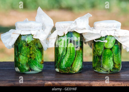 Saure Gurken mit nach Hause Gartengemüse und Kräuter gemacht Stockfoto