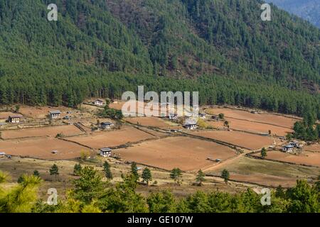 Geographie/Reisen, Bhutan, Phodrang, Nobding, Phobjika Tal (3000m), Additional-Rights - Clearance-Info - Not-Available Stockfoto