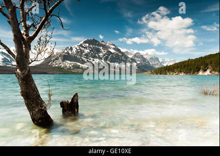 St. Mary Lake aus Wild Goose Island Sicht, Glacier National Park, Montana Stockfoto