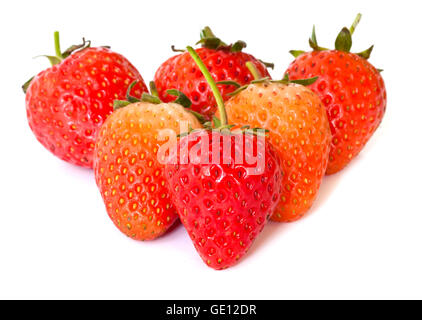 rote reife Erdbeeren auf weißem Hintergrund isoliert Stockfoto