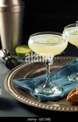 Alkoholische Kalk und Gin Gimlet mit Garnierung Stockfoto